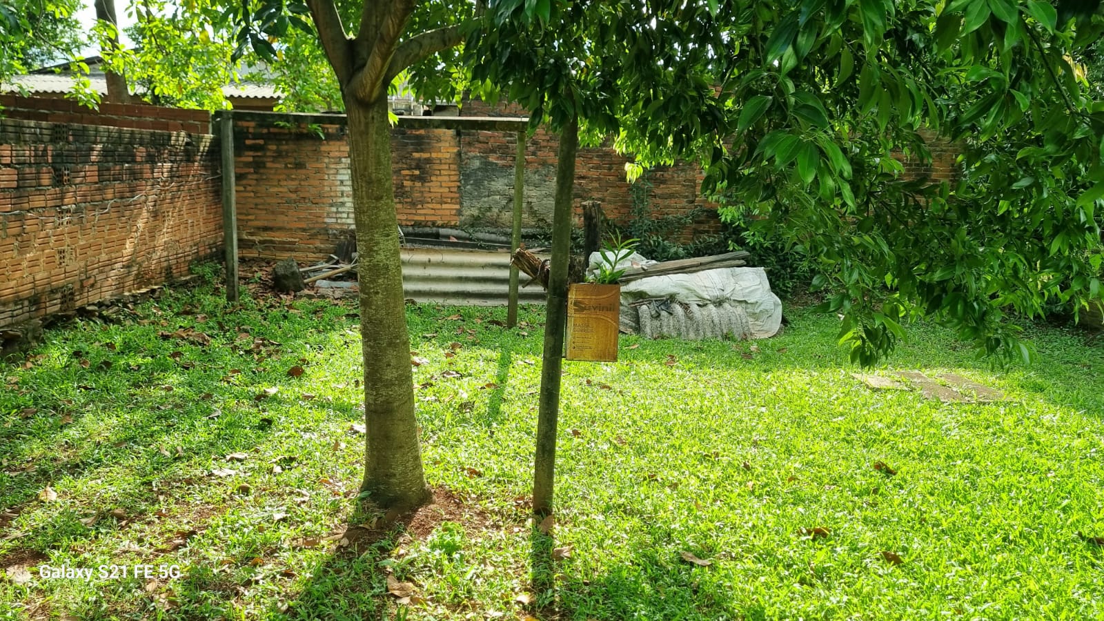 Foto 17