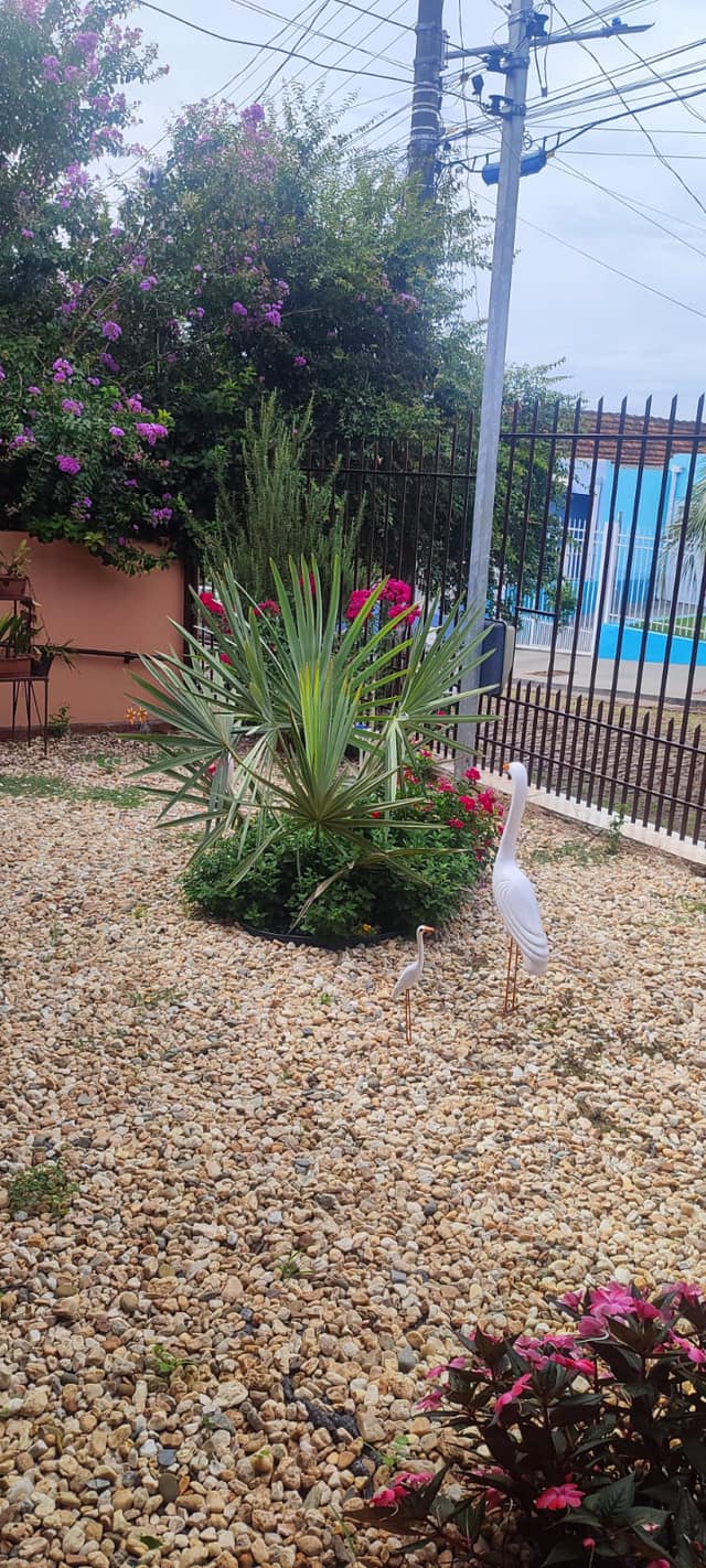Foto 6