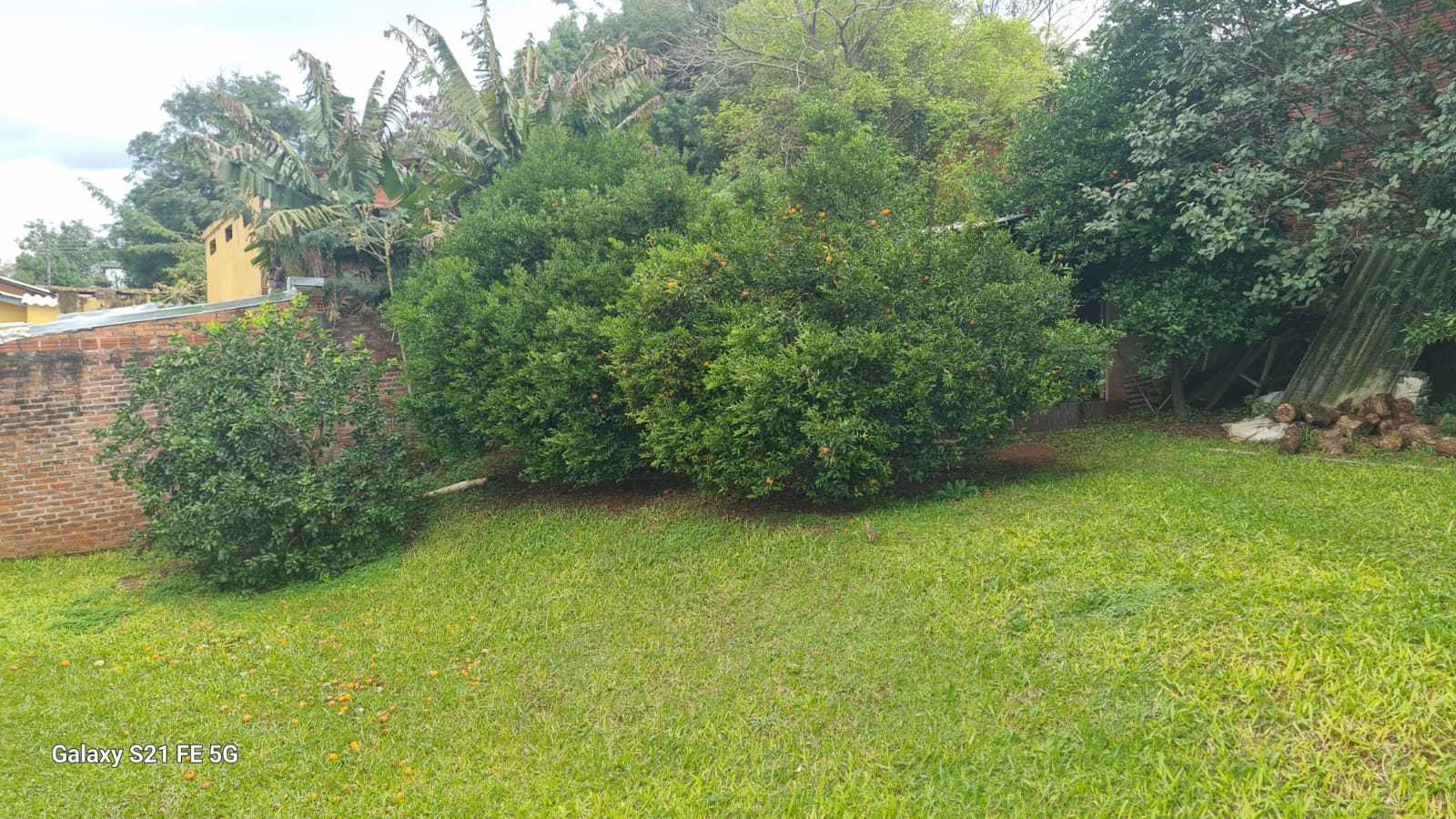 Foto 11