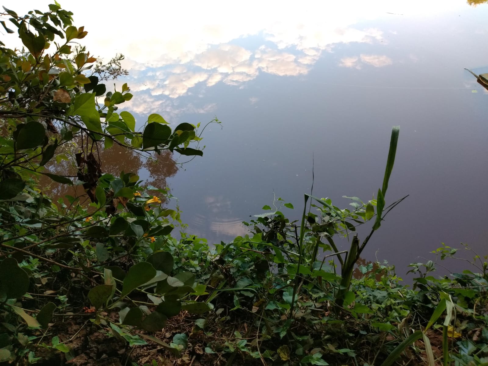 Foto 9