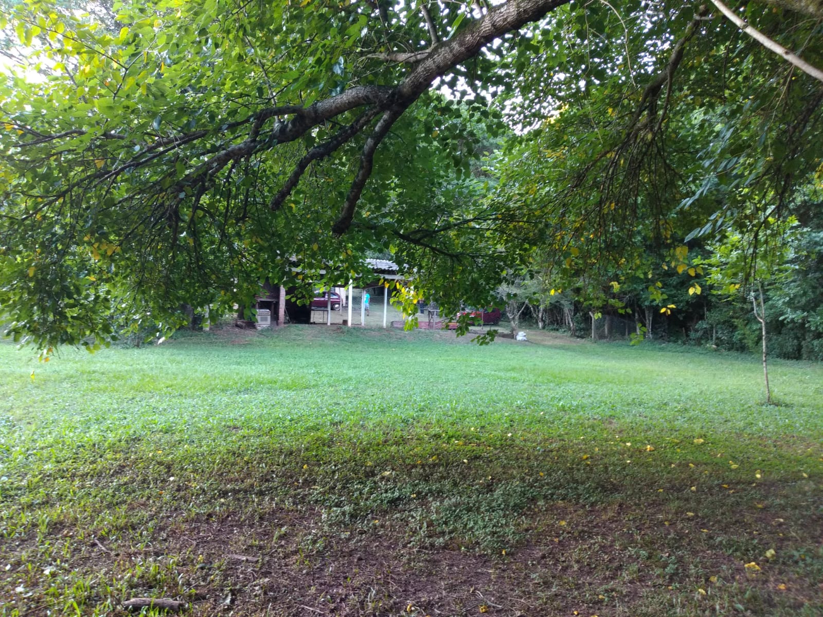 Foto 11